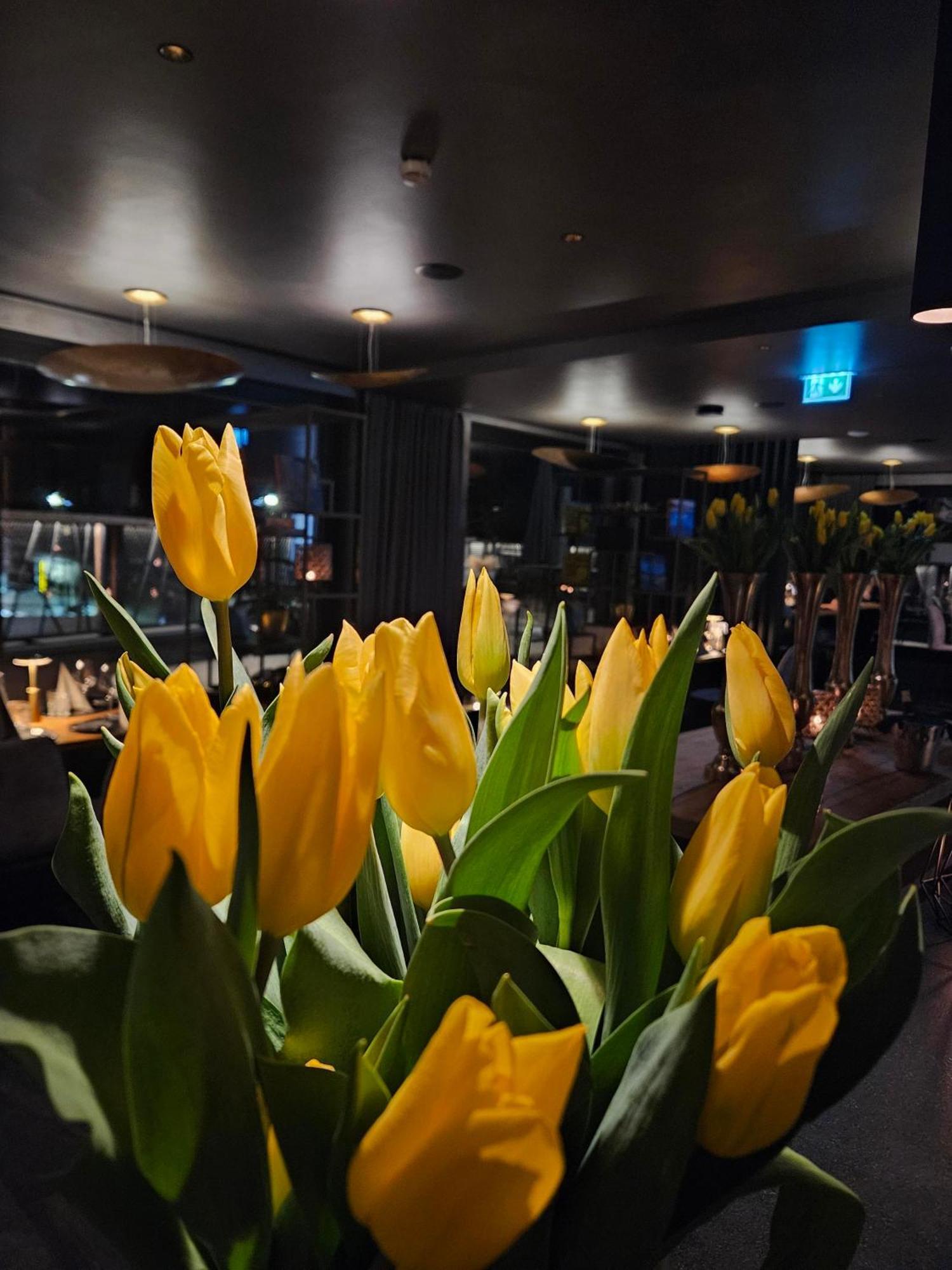 Almmonte Praeclarum Suites Design Hotel Wagrain Eksteriør bilde